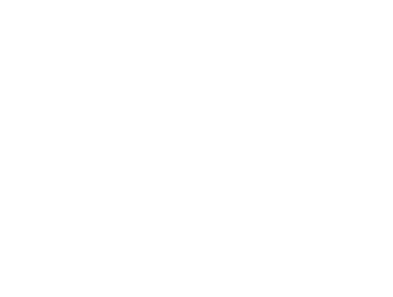 50TH ANNIVERSARY MODELS