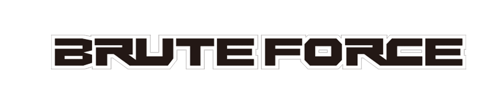 BRUTEFORCE